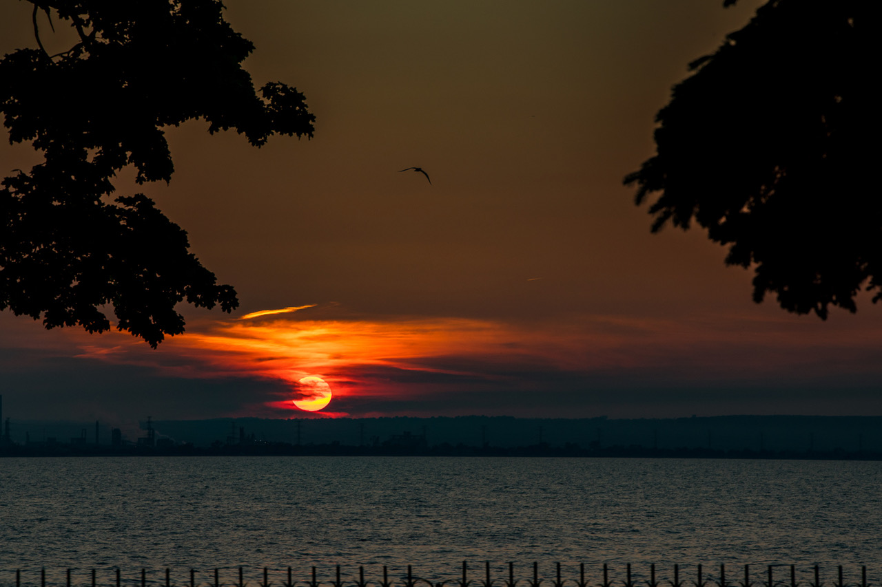 DA Photography-780158